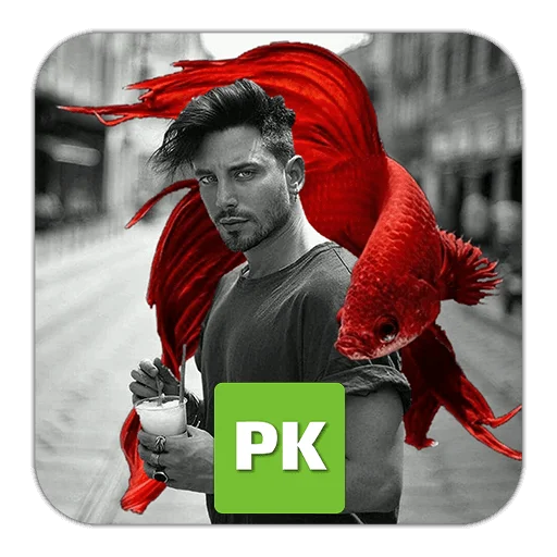 Download PhotoKit Mod Apk
