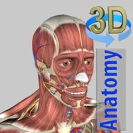 Download 3D Anatomy Mod Apk